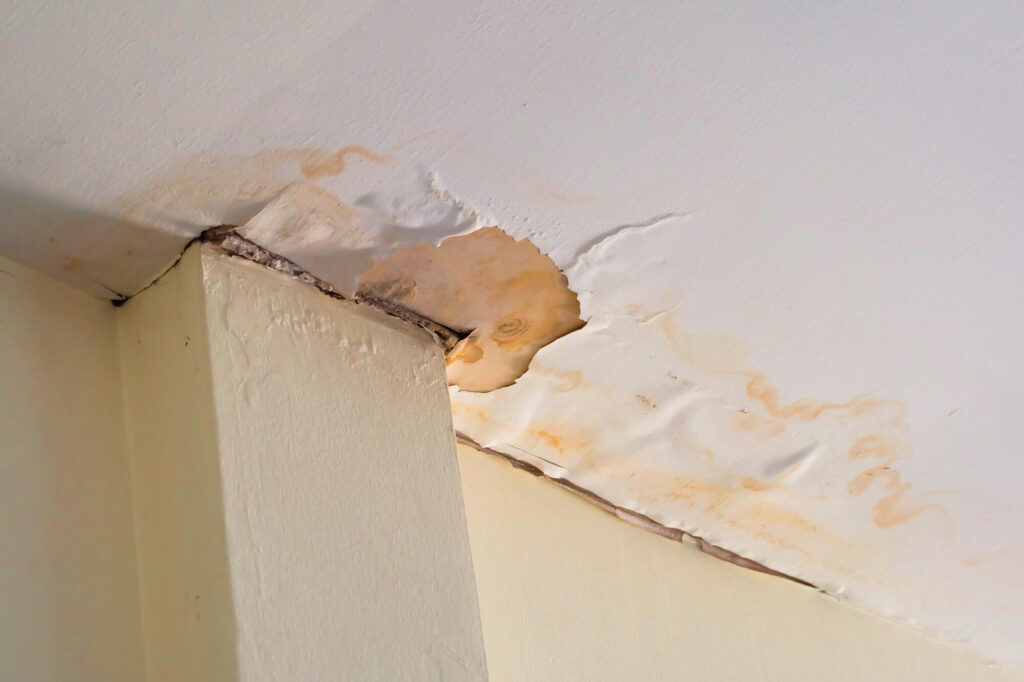 Leak detection