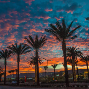 Summerlin North