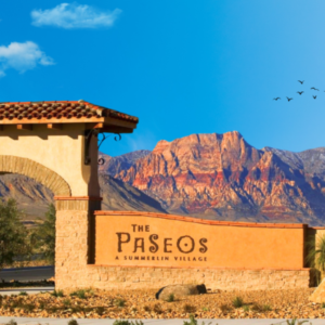 Plumbing Services in The Paseos