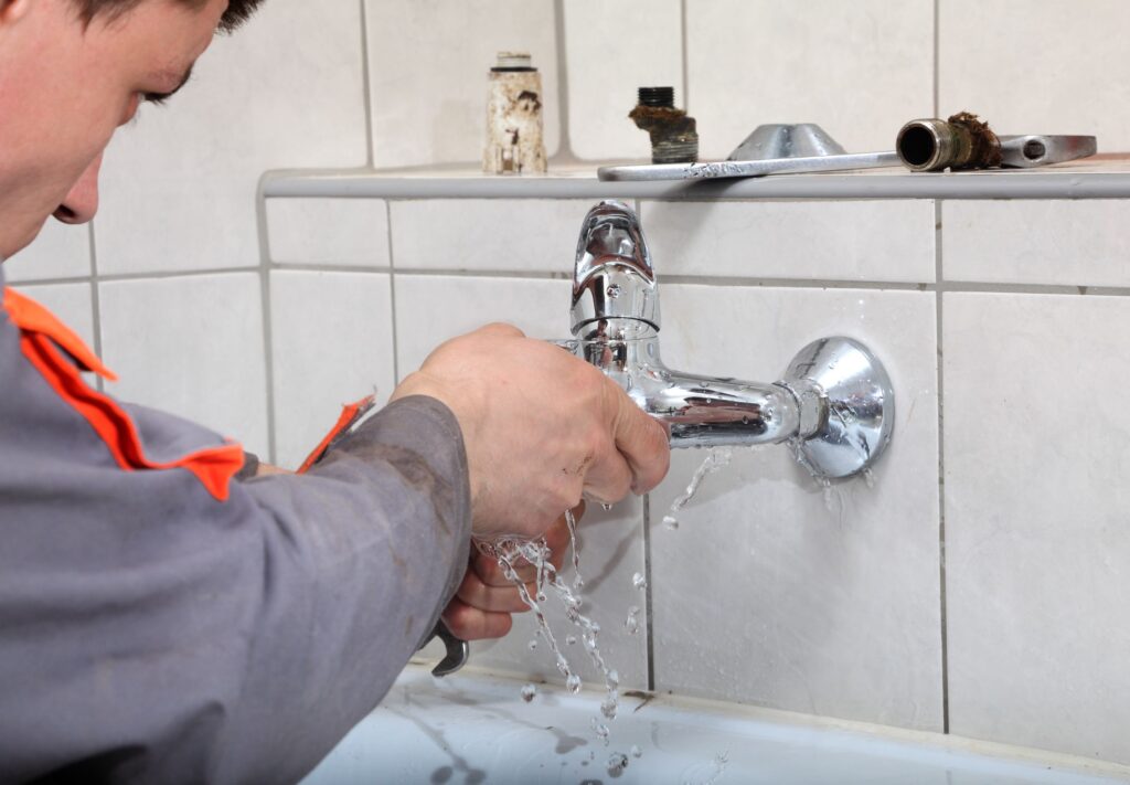 Leak Detection Professionals
