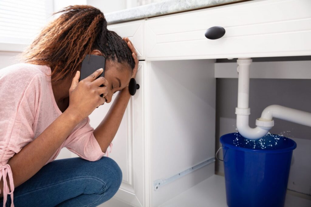 Emergency Plumbing Summerlin NV