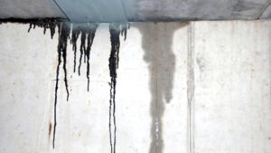 Household Water Leaks