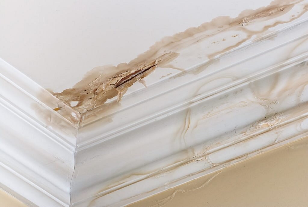 Leaking Roof Emergency