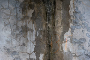 Slab Leak Signs