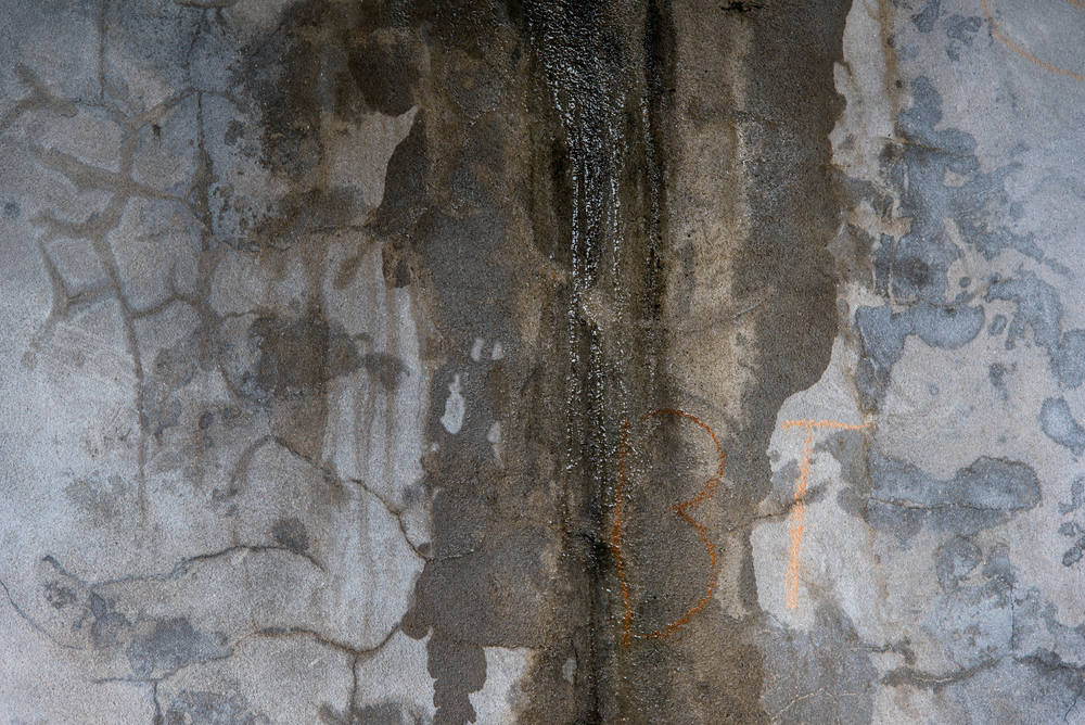 Slab Leak Signs