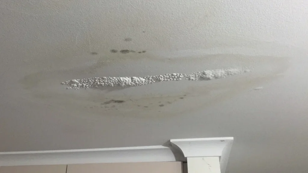 Ceiling Leaks