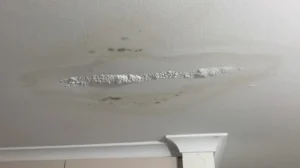 Ceiling Leaks