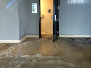 Leak Issues in Apartments