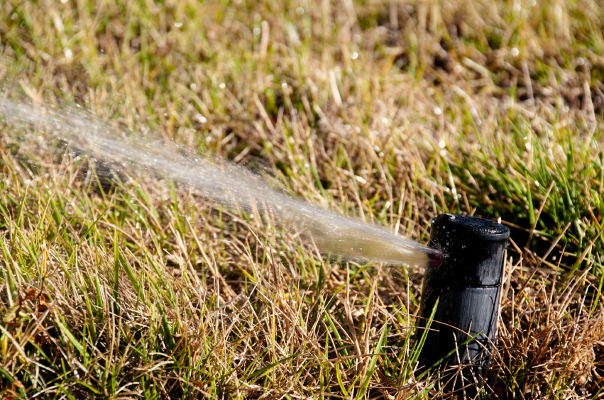 Outdoor Irrigation System Leaks