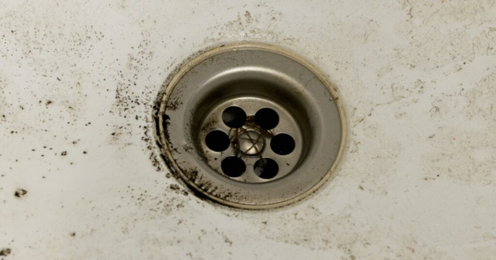 smelly drains