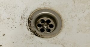 smelly drains