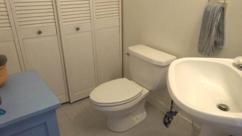 toilet leaks