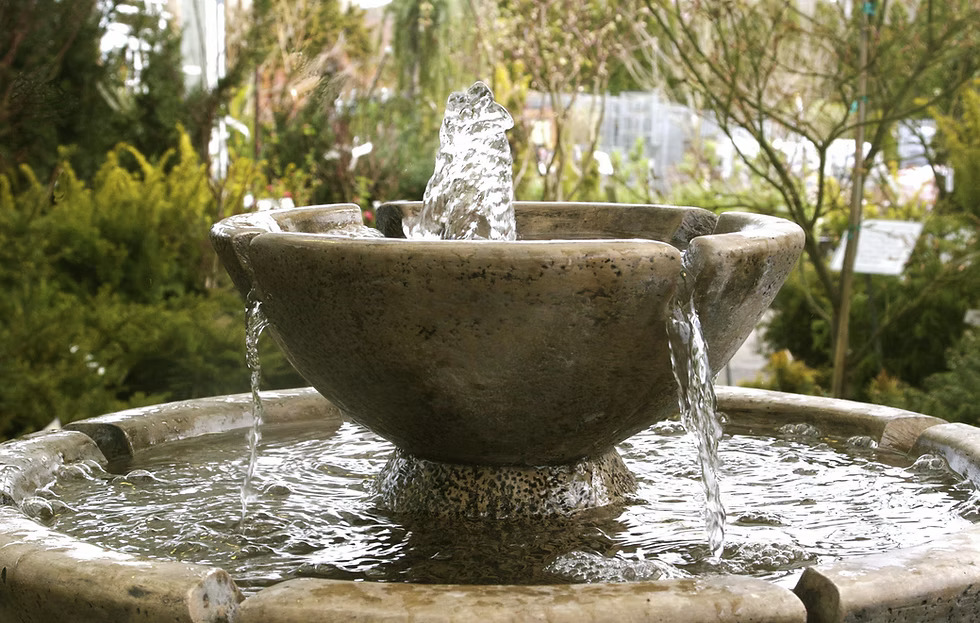 Fountain Plumbing Summerlin