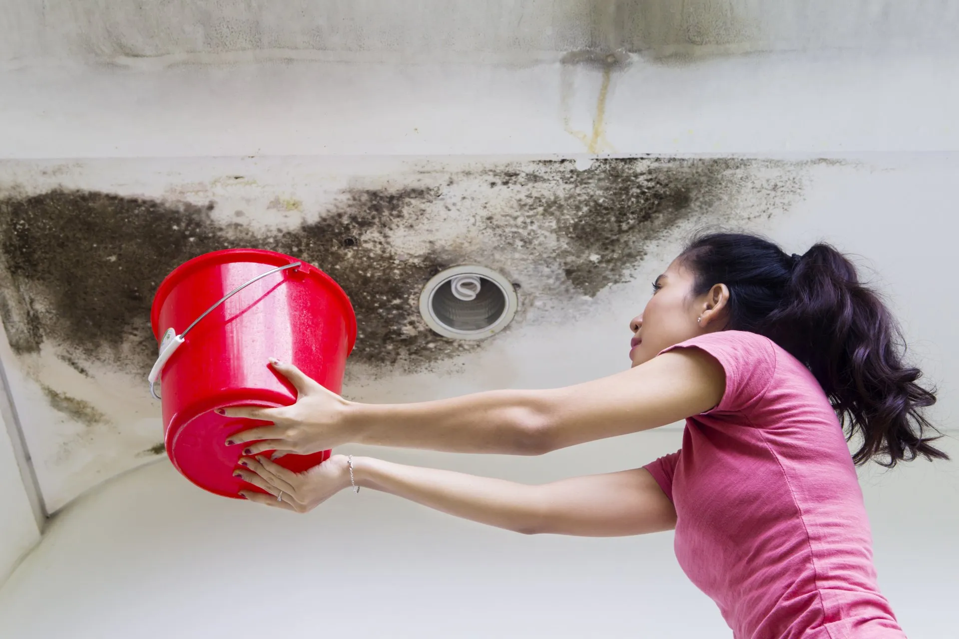 How Long Does It Take for a Water Leak to Cause Mold? 5 best water leak mold growths