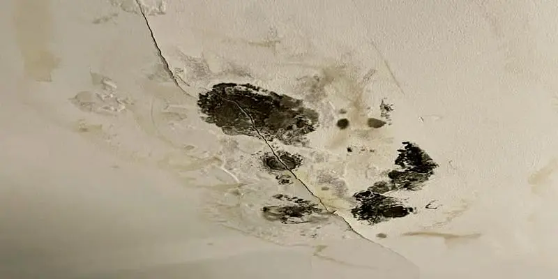 How Long Does It Take for a Water Leak to Cause Mold? 1 water leak mold growth
