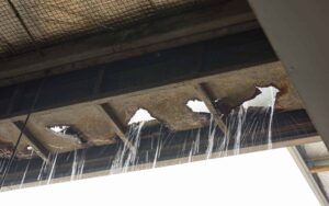 Roof and Ceiling Leaks