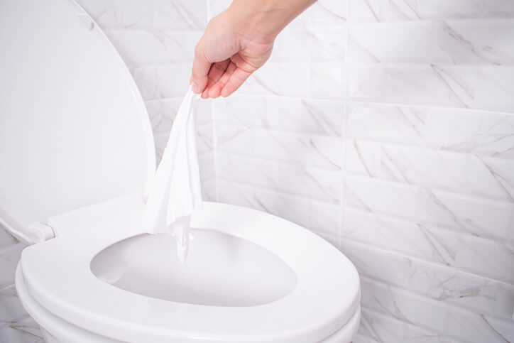 Are Flushable Wipes Bad for Plumbing? The Truth Every Homeowner Should Know 2 flush wipes 2