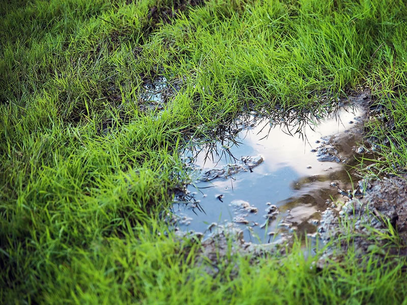 How to Find a Water Leak Underground - Signs, Tools & Professional Solutions 2 underground leak 4