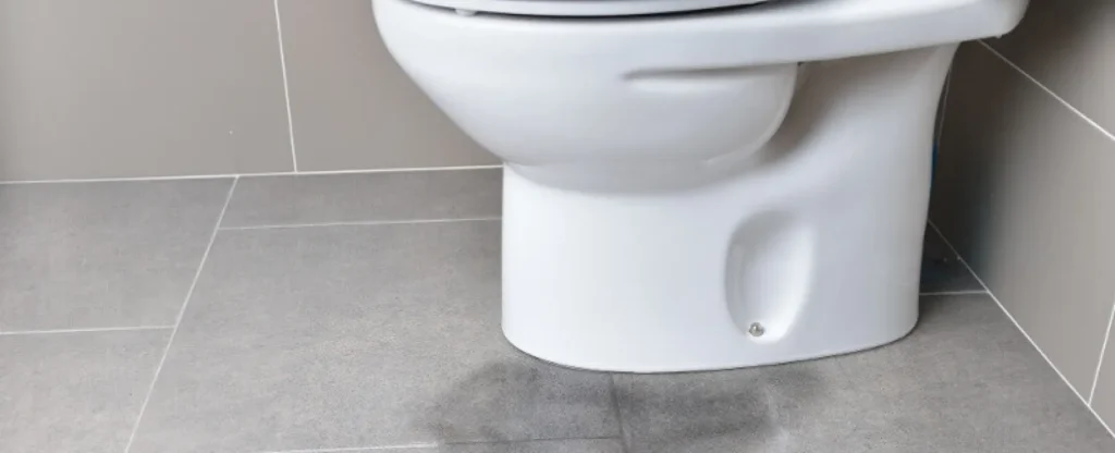 Why Is My Toilet Leaking From the Bottom? A Homeowner’s Guide to Fixing Toilet Leaks 1 Toilet Leaking From the Bottom