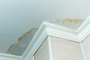 Water Leaking From Upstairs Bathroom to Downstairs Ceiling