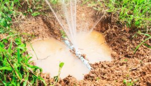 water leak in yard