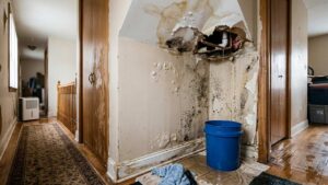 Water Damage Restoration Miami