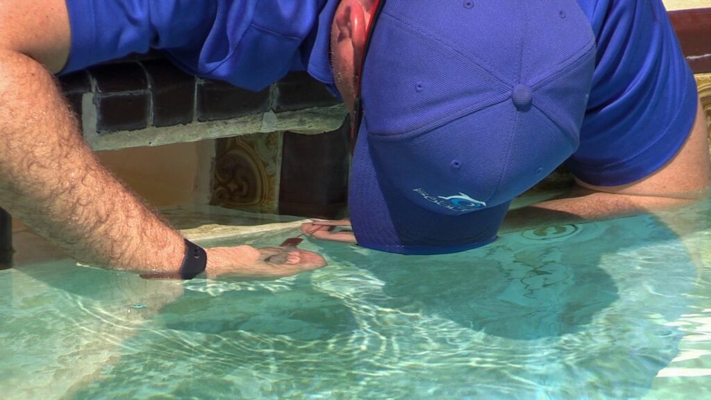 Pool Leak Detection Miami